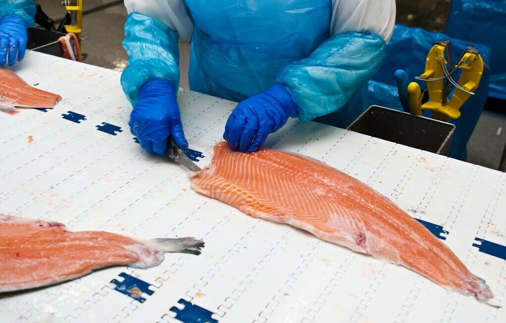 qualité secteur alimentaire poisson respect normes hygiène