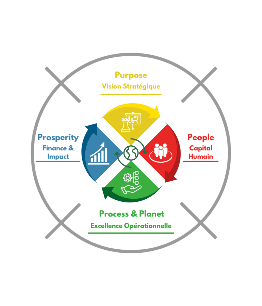 Représentation sous la forme d'un graphique des éléments suivants : Politique Vision Mission Vision stratégique Capital humain Excellence Opérationnelle Finance et Impact