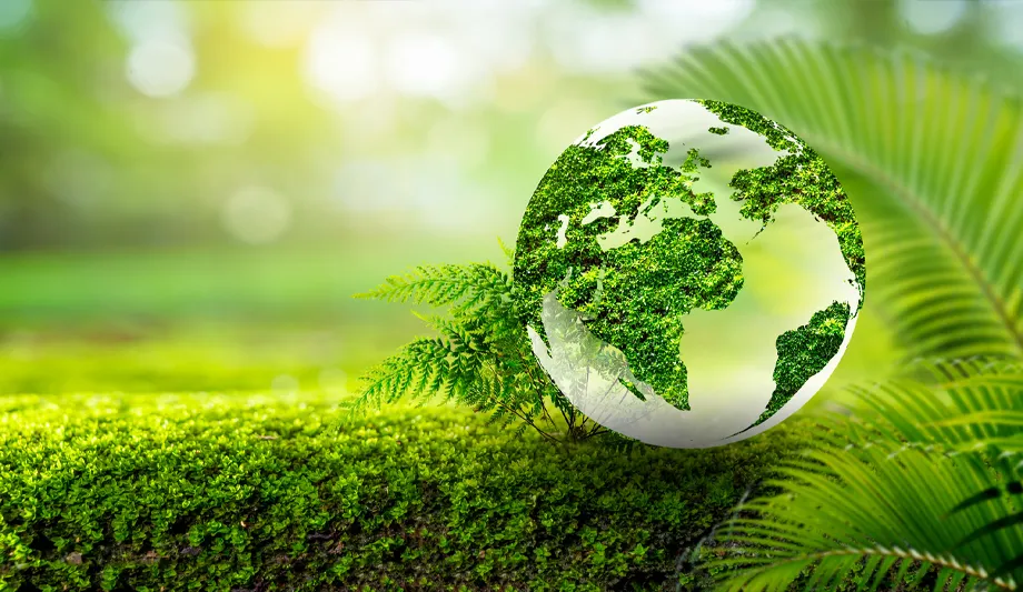 Concept Sauver le monde sauver l'environnement Le monde est dans l'herbe du fond vert bokeh