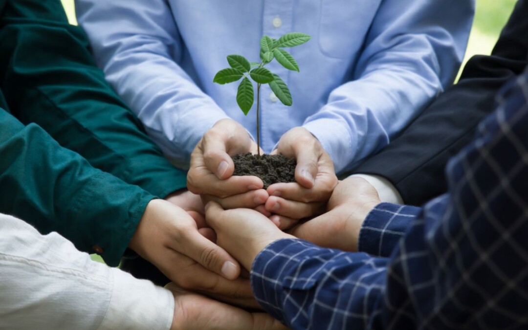 Audit diagnostic RSE : comment faire mesurer et optimiser la RSE de votre entreprise ?