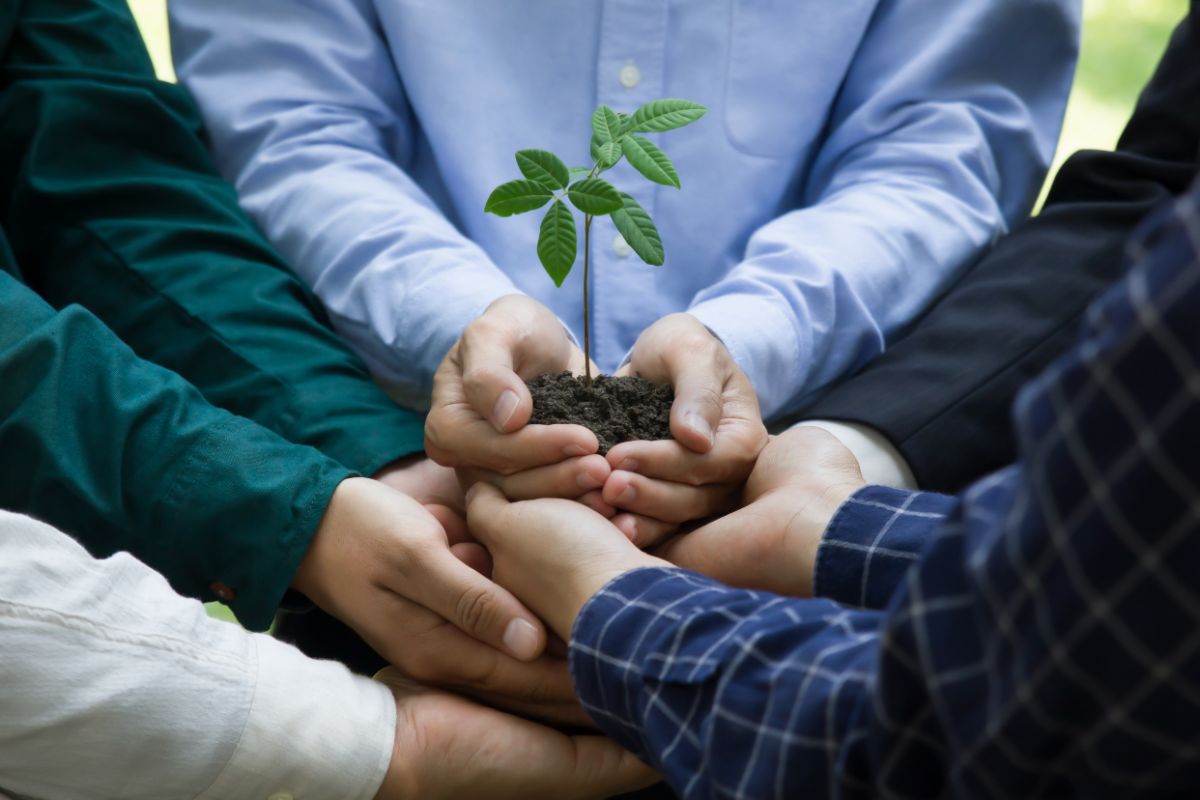 Mains de dirigeants d'entreprise qui tiennent ensemble une plante