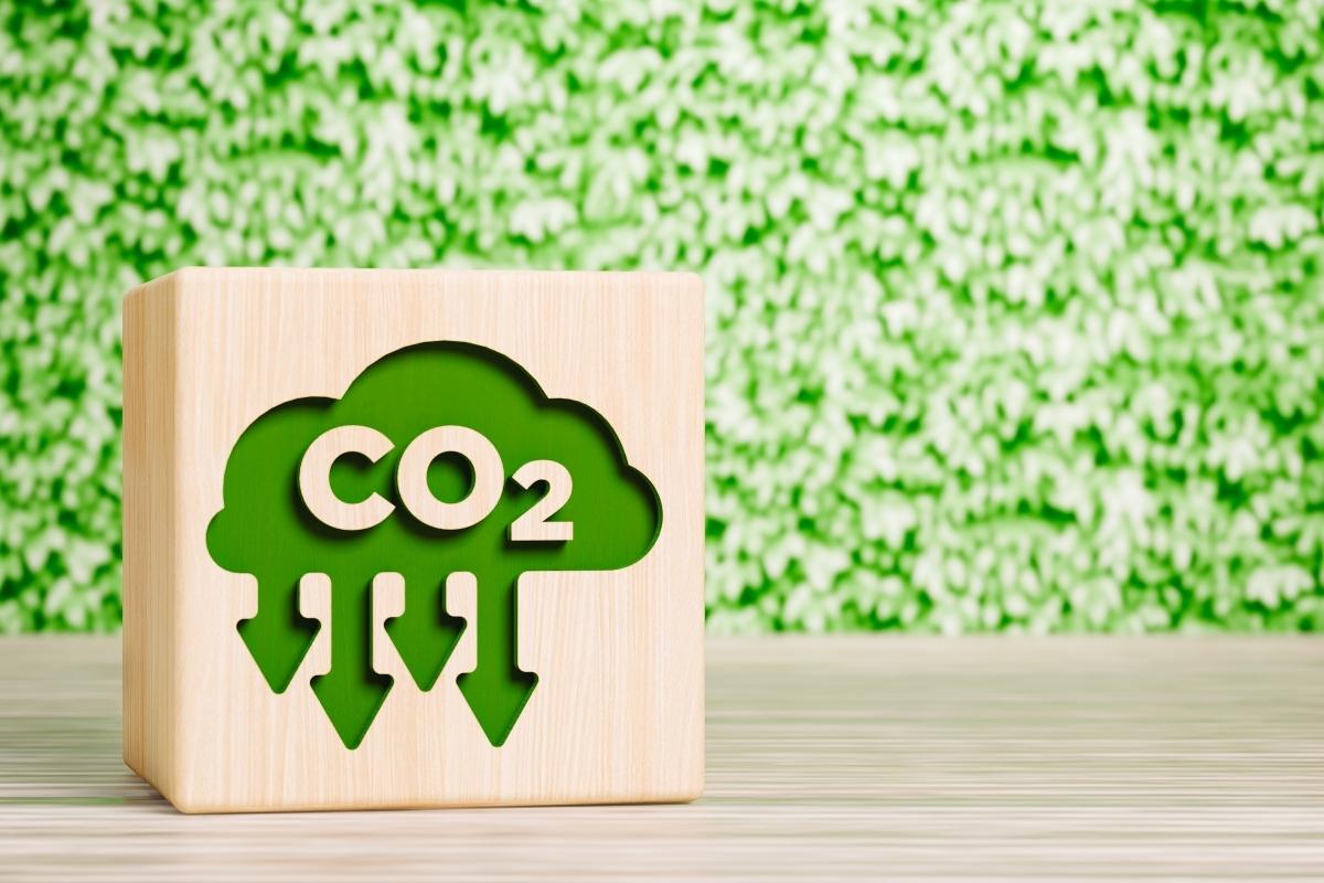 Nuage en bois sur fond vert avec écrit CO2 en vert au coeur du nuage
