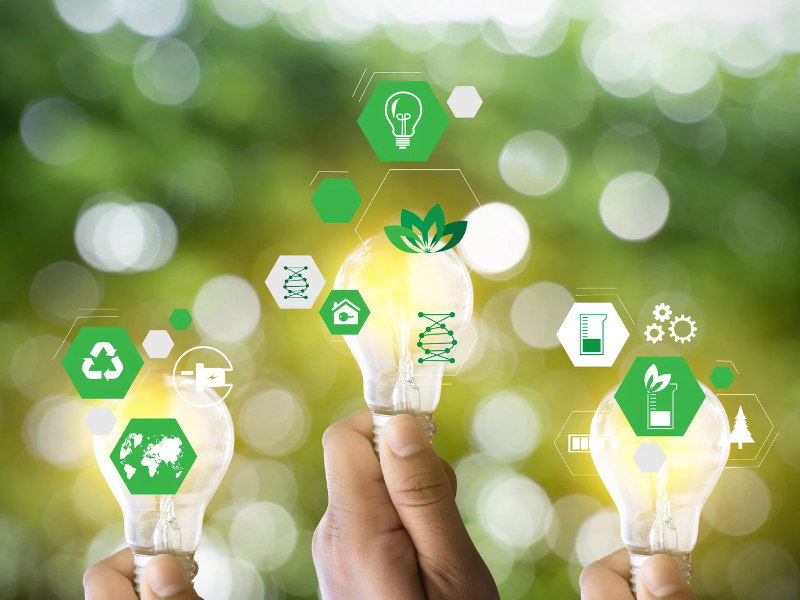 Mains tenant des ampoules entourées d’icônes vertes de développement durable : recyclage, énergie, environnement